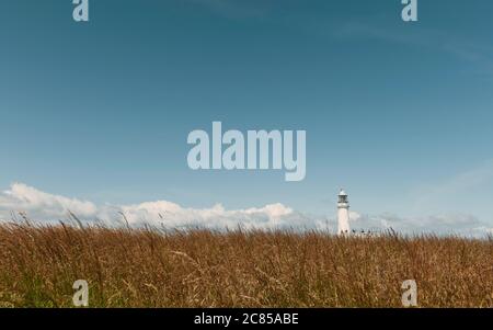 Paesaggio con alte erbe in primo piano e faro all'orizzonte sotto il cielo blu con nuvole sparse in estate a Flamborough, Yorkshire, UK> Foto Stock