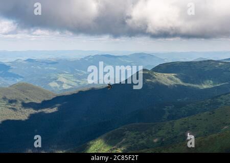 Basso angolo vista di Silhouette uccelli volare sulle montagne contro il cielo blu chiaro Foto Stock