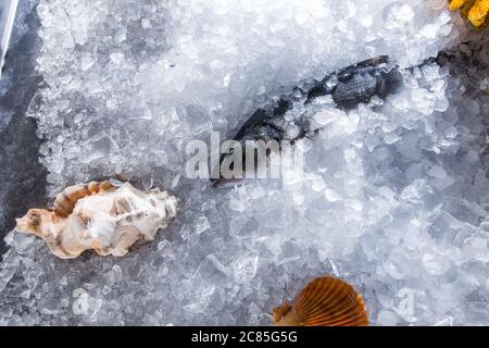 Angolo alto ancora in vita di varietà di materie Pesce Fresco raffreddamento sul letto di ghiaccio freddo nel mercato di pesce stallo con spazio di copia Foto Stock