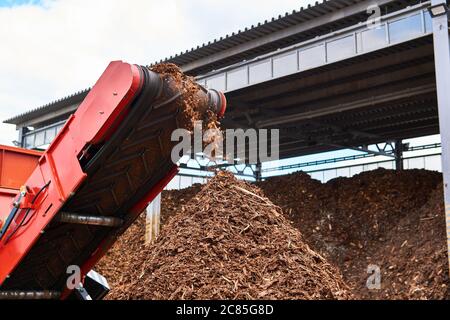 trasportatore di primo piano di una trituratrice industriale per legno che produce trucioli di legno dalla corteccia Foto Stock