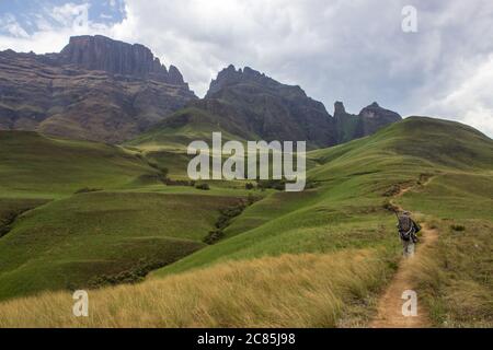 Un escursionista su un sentiero che conduce verso le cime del Turrent, Sterkhorn e Cathkin Peak, iconiche montagne dei Drakensberg, Sud Africa Foto Stock