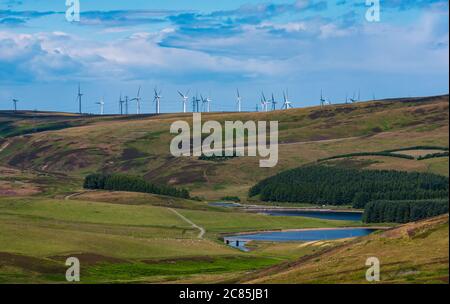 Lammermuir Hills, East Lothian, Scozia, Regno Unito, 21st luglio 2020. Tempo UK: Sole estivo con la temperatura che sale a 20 gradi centigradi e un'atmosfera limpida con una vista a lunga distanza Nord sopra brughiera grouse con una vista al serbatoio Whiteadder e una fattoria di turbine eoliche Foto Stock