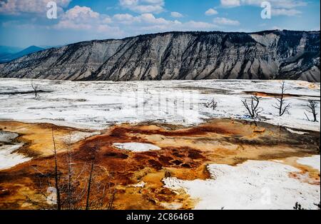 I Travertines delle sorgenti termali di Mammoth nel parco nazionale di Yellowstone, Wyoming, Stati Uniti Foto Stock