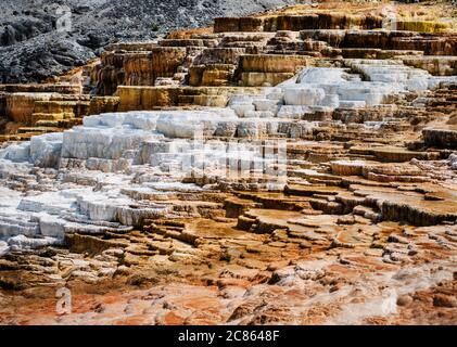 I Travertines delle sorgenti termali di Mammoth nel parco nazionale di Yellowstone, Wyoming Foto Stock