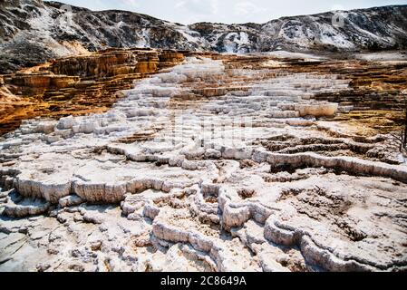 I Travertines delle sorgenti termali di Mammoth nel parco nazionale di Yellowstone, Wyoming Foto Stock