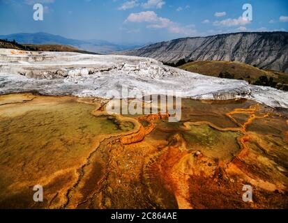 I Travertines delle sorgenti termali di Mammoth nel parco nazionale di Yellowstone, Wyoming Foto Stock