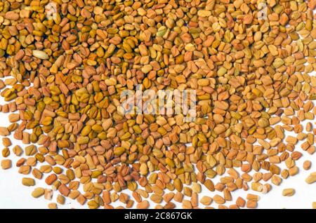Ceylon Spice Fenugreek semi, primo piano Foto Stock