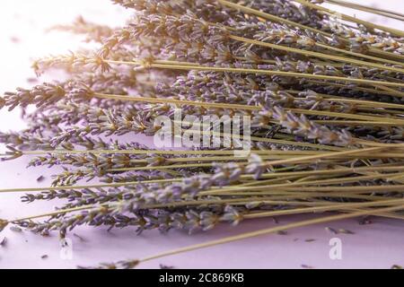 Bouquet di fiori di lavanda secco su sfondo viola Foto Stock