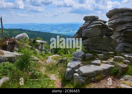 Foresta morta sulla montagna Dreisesselberg. Confine tra Germania e Repubblica Ceca. Turisti escursioni nel parco nazionale Sumava (Foresta Boemia) Foto Stock