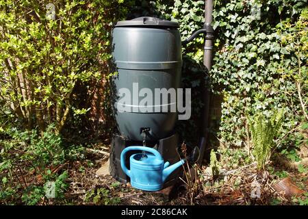 Plastica blu canna di acqua con acqua piovana in piedi vicino al muro di  cemento Foto stock - Alamy