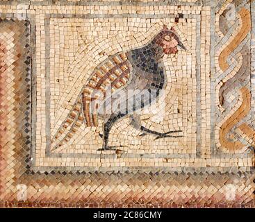 Fagiano in antico mosaico romano del Monte Nebo, Giordania Foto Stock