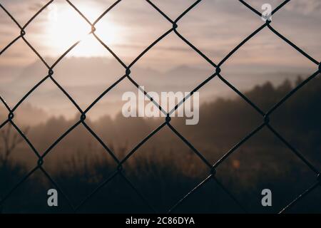 Paesaggio che mostra una foresta con alberi e il sole su di loro attraverso una recinzione a rete Foto Stock