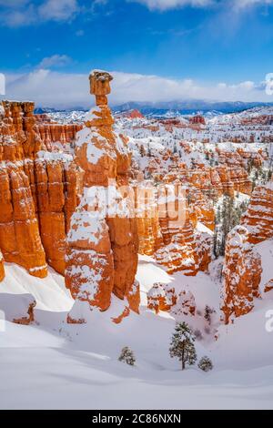 Thor's Hammer, Bryce Canyon National Park, Utah, Stati Uniti. Foto Stock