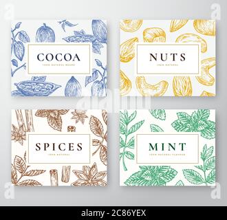 Set di carte di cacao, menta, noci e spezie disegnate a mano. Astratto vettore Sketch Backgrounds Collection con classica retro Typography. Cacao disegnato a mano Illustrazione Vettoriale