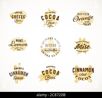Set di modelli di simboli, simboli o logo per le spezie cacao e il simbolo vettoriale per la stampa del caffè. Fagioli e spezie disegnati a mano con la tipografia Premium Vintage. Elegante e di classe Illustrazione Vettoriale