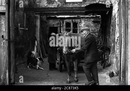 AJAXNETPHOTO. 30 SETTEMBRE 1969. PORTSMOUTH, INGHILTERRA. - COSTRETTO FUORI - IN VIA SUSSEX; ULTIME IMMAGINI DEI TOTTERS E DELLE LORO STALLE IN VIA SUSSEX PRIMA CHE GLI EDIFICI SIANO STATI DEMOLITI. IL CAVALLO E IL CARRELLO.PHOTO:JONATHAN EASTLAND/AJAX REF:356950 51 202206 35 Foto Stock