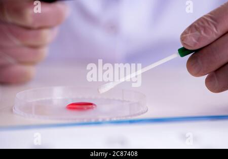 Il laboratorio di sintesi dei farmaci sperimenta con pillole Foto Stock