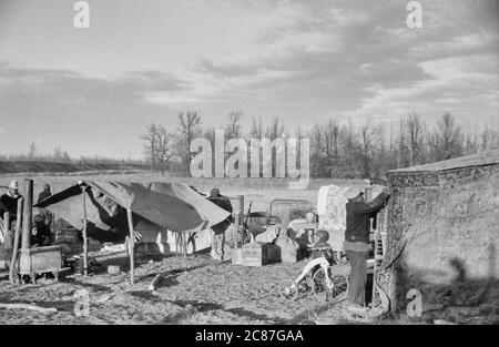 I baraccisti sfrodati lungo l'autostrada 60, New Madrid County, Missouri, gennaio 1939 Foto Stock