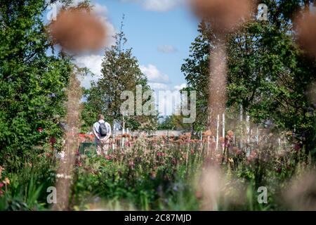 Kamp Lintfort, Germania. 21 luglio 2020. Un visitatore cammina attraverso la zona dello spettacolo giardino. Lo Stato Horticultural Show Kamp-Lintfort 2020 è il 18 dello stato della Renania Settentrionale-Vestfalia. La città di Kamp-Lintfort organizza lo spettacolo orticolo sul sito di collisione ex Friedrich Heinrich pit. Credit: Fabian Strauch/dpa/Alamy Live News Foto Stock