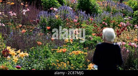 Kamp Lintfort, Germania. 21 luglio 2020. Un visitatore guarda un letto fiorito. Lo Stato Horticultural Show Kamp-Lintfort 2020 è il 18 dello stato della Renania Settentrionale-Vestfalia. La città di Kamp-Lintfort organizza lo spettacolo del giardino sui terreni di collisione ex Friedrich Heinrich pit. Lo state Horticultural Show fa il punto a metà strada. Credit: Fabian Strauch/dpa/Alamy Live News Foto Stock