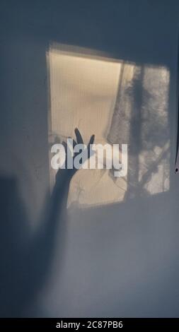 Elegante gesto della mano femminile con lunghe dita sottili. Sfocare le ombre sulla superficie della parete in tonalità seppia Foto Stock