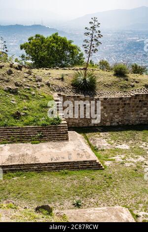 Un'agave punta di fiori sul campo da palla più grande nelle rovine della città di Zapotec di Atzompa, vicino a Oaxaca, Messico. È il campo da palla più grande del Foto Stock