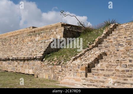 Un'agave punta di fiori sulle rovine della East House o Casa de Oriente nella città di Zapotec di Atzompa, vicino a Oaxaca, Messico. Foto Stock