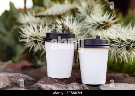 Due tazze di caffè da bere, tazze in carta bianca sulle pietre. Dietro le pietre crescono un cactus. Foto Stock