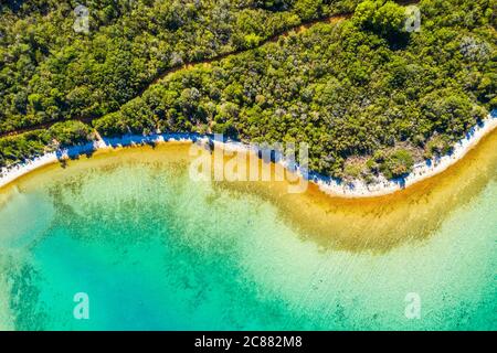Vista aerea della splendida laguna sul mare Adriatico in Croazia, isola Dugi Otok. Pinete, lunghe spiagge nascoste e superficie di mare smeraldo Foto Stock