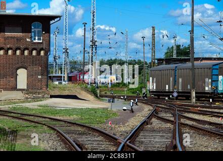 21 luglio 2020, Brandenburg, Wustermark/OT Elstal: Treni merci e locomotive si trovano sulla Rail und Logistik Centre Wustermark GmbH (RLC). Il cantiere di marshalling è, secondo le sue informazioni, la più grande stazione pubblica privata per il traffico merci. Tra le altre cose, il denaro per l'espansione è da utilizzare per estendere sei piste a 740 metri e per costruire interruttori, linee aeree e montanti catenaria. Successivamente, si possono ospitare treni merci di lunghezza standard europea. Foto: Soeren Stache/dpa-Zentralbild/ZB Foto Stock