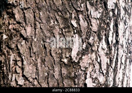 carta da parati vintage diventa una bella carta da parati astratta Foto Stock