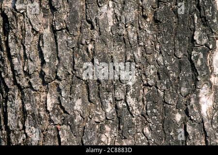 carta da parati vintage diventa una bella carta da parati astratta Foto Stock