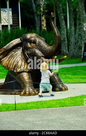 Matakana, Nuova Zelanda - Dic 2019. Scultura in bronzo che rappresenta un elefante che sale da un tombino, e un bambino carino affascinato dall'elefante Foto Stock