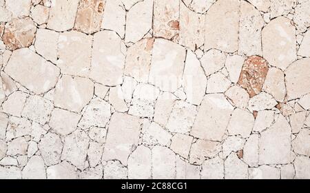 Muro di pietra calcarea shelly, è una pietra altamente fossilifera, composta da un certo numero di organismi fossili. Texture di sfondo, vista frontale Foto Stock