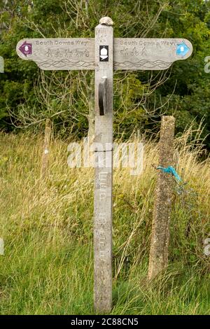 South Downs Way marcatore / cartello vicino a Chanctonbury Ring nel South Downs National Park, West Sussex, Inghilterra, UK. Foto Stock
