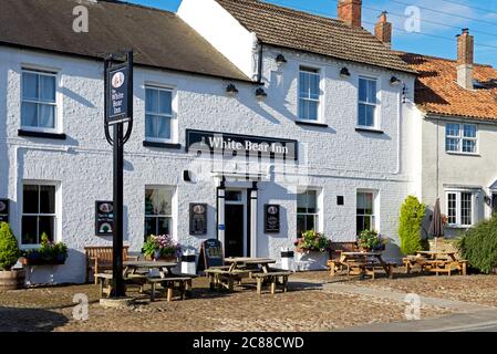 The White Bear Inn, nel villaggio di Stillington, Hambleton, North Yorkshire, Inghilterra Regno Unito Foto Stock