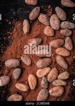 Cacao in grani tostati e cacao in polvere Foto Stock