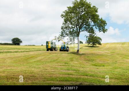 Coltivatore che raccoglie erba per insilato, Somerset, Inghilterra, Regno Unito. Foto Stock