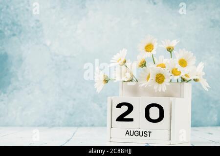 Calendario cubo bianco per agosto decorato con fiori margherita su blu con spazio copia Foto Stock