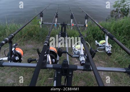 Guardando lungo tre aste di carpe verso un laghetto. La pesca alla carpa. Foto Stock