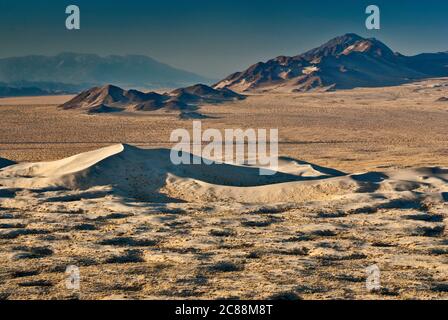 Kelso Peak Over Devils Playground da Kelso Dunes al tramonto presso la Mojave National Preserve, California, USA Foto Stock