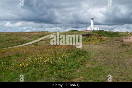 Faro sotto nuvole pesanti e fiori e erbe selvatiche in primo piano in estate a Flamborough, Yorkshire, UK. Foto Stock