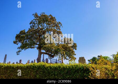 Natchez, Mississippi, USA - 19 giugno 2020: Istituzione del cimitero cittadino di Natchez nel 1822, piena di storia e grandezza di questa città residenti. Foto Stock