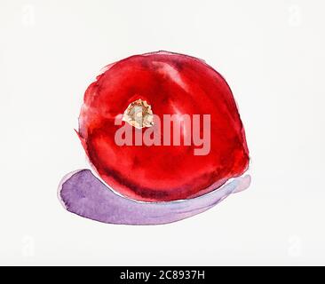 Dipinto a mano singola rosa blu isolato su uno sfondo bianco. Dipinto con  acquerelli Foto stock - Alamy