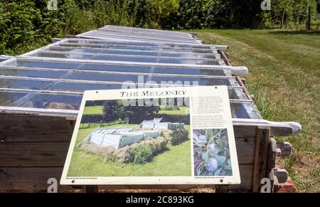 Informazioni turistiche e per i visitatori presso Gilbert White's House, The Wakes, Selborne, Hampshire, Inghilterra, Regno Unito Foto Stock