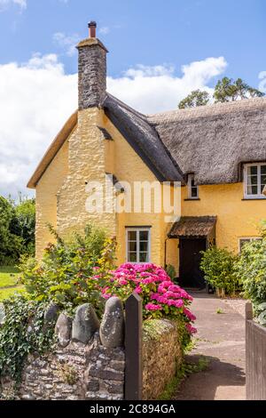 Una tradizionale casa colonica con tetto in paglia sul Parco Nazionale di Exmoor nel villaggio di Bossington, Somerset UK Foto Stock