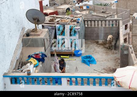 Macellazione delle pecore in vista delle tradizionali celebrazioni Eid-al-Adha a Taghazout, Souss, Marocco Foto Stock