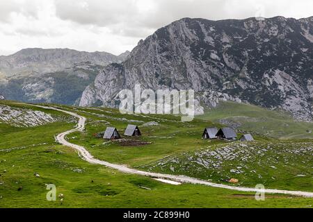 Capanne tradizionali e strada di ghiaia su un prato in paesaggio di montagna, Parco Nazionale Durmentor, Montenegro Foto Stock