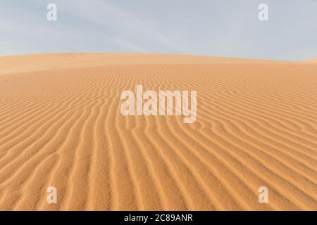 Linee pulite formate dal vento sul deserto Foto Stock