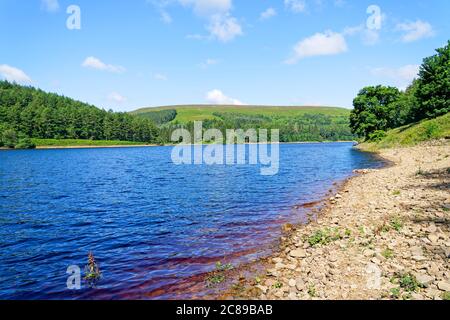 Sulla costa rocciosa del lago artificiale Derwent nel Derbyshire in un giorno d'estate luminoso, nebbioso Foto Stock